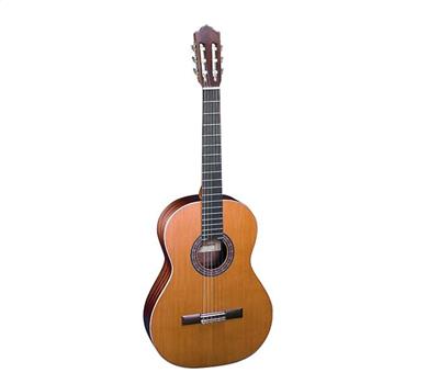 Almansa Student 401 OP Matt Senorita