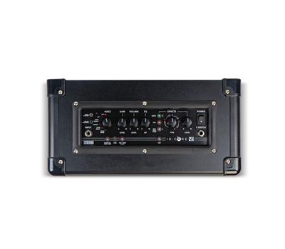 Blackstar ID:Core Stereo 20 V42