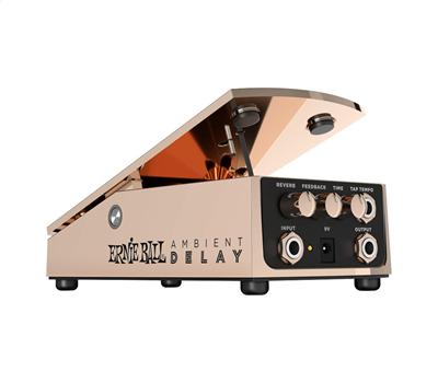 Ernie Ball 6184 Ambient Delay Bronze