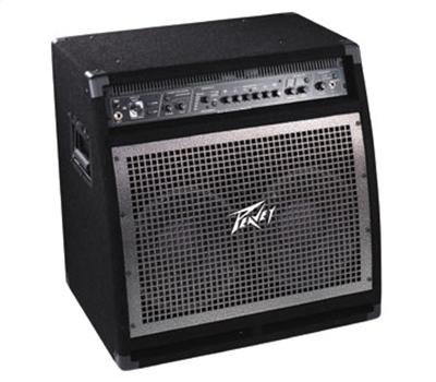 PEAVEY BAM 210 Basscombo