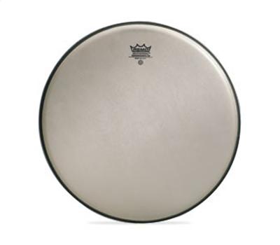 Remo Renaissance Ambassador 10"