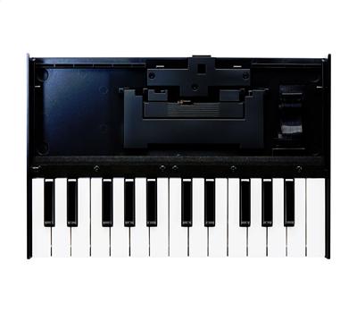 Roland K-25m