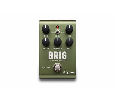 Strymon Brig dBucket Delay1