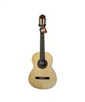 Almansa Student 401 Hochglanz Senorita Spruce