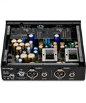 Black Lion Audio Auteur MKIII