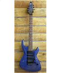 Cris Larkin ASAD RS blue