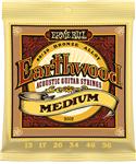 Ernie Ball 2002 Earthwood Bronze Medium .013-.056