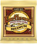 Ernie Ball 2002 Earthwood Bronze Medium .013-.056