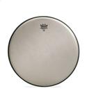 Remo Renaissance Ambassador 12"