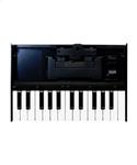 Roland K-25m