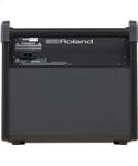 Roland PM-100