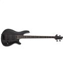 Schecter SLS Elite 4 Evil Twin