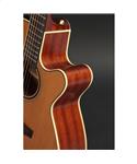 Takamine PRO Series P3NC II NEX
