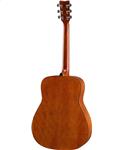 Yamaha FG 800 II Natural