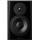 Dynaudio PRO LYD-8 Black