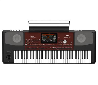 KORG Pa700 61 Tasten