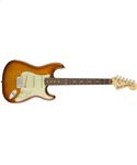 Fender American Performer Stratocaster® Rosewood Fingerboard Honey Burst