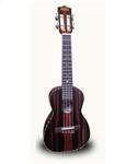 Leho LHUC-ALEB Konzert Ukulele